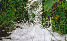 Water