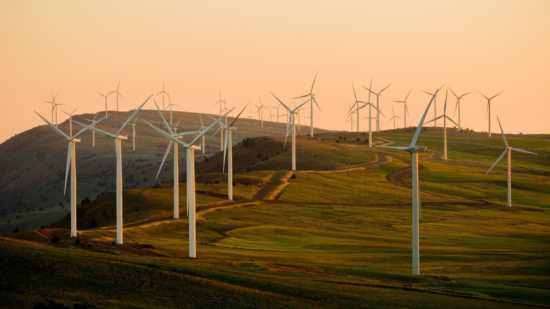 Wind turbines on a hill in the sunset.